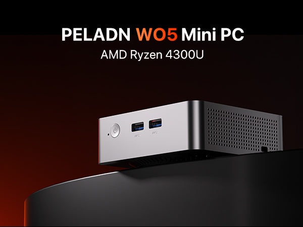 PELADN WO5 AMD RYZEN 4300U MINI PC
