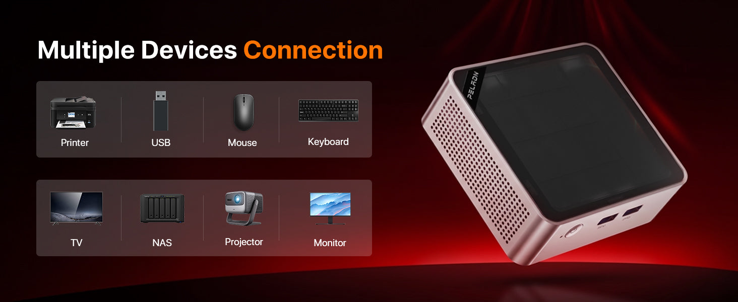 PELADN WO5 AMD RYZEN 4300U MINI PC