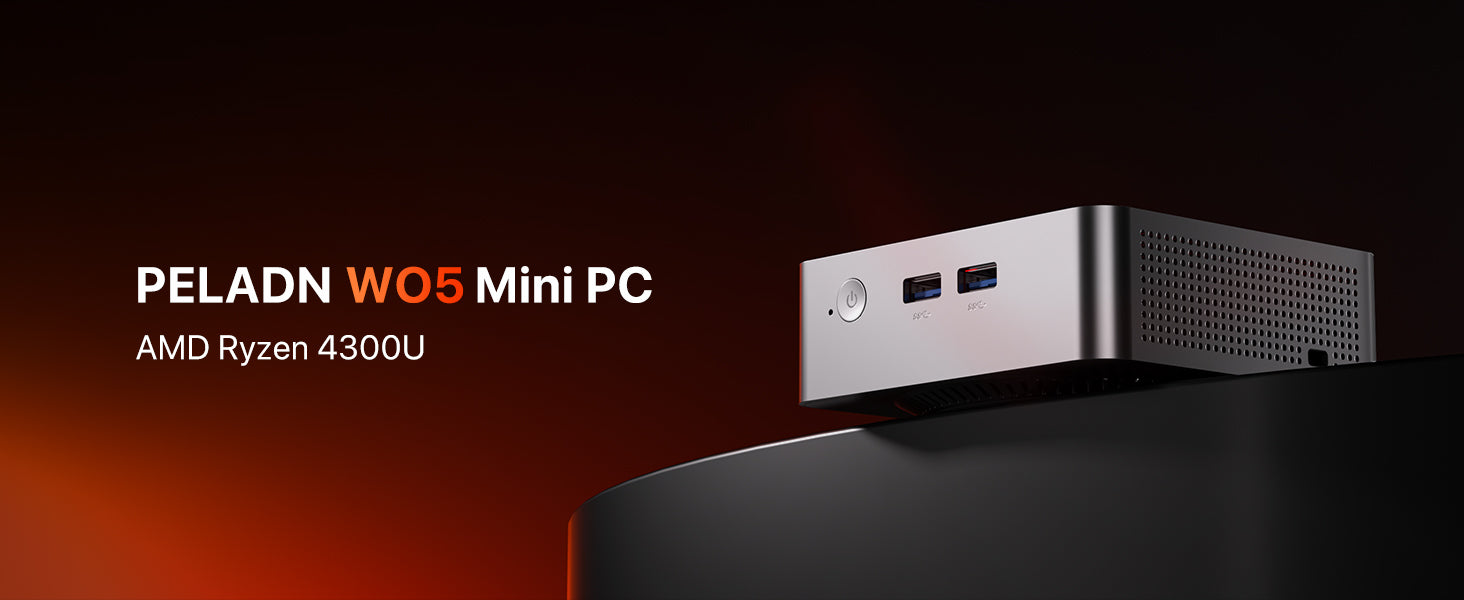 PELADN WO5 AMD RYZEN 4300U MINI PC