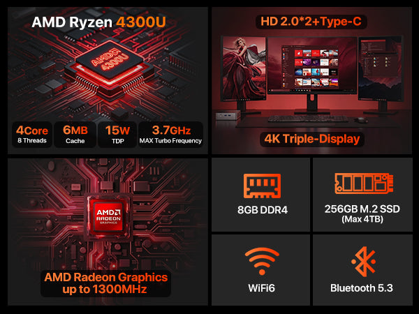 PELADN WO5 AMD RYZEN 4300U MINI PC